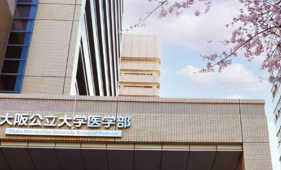 合格した先輩による指導風景